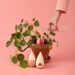 Pépin - Mini Olla Coeur - Rose - Rayé  (x3) - image